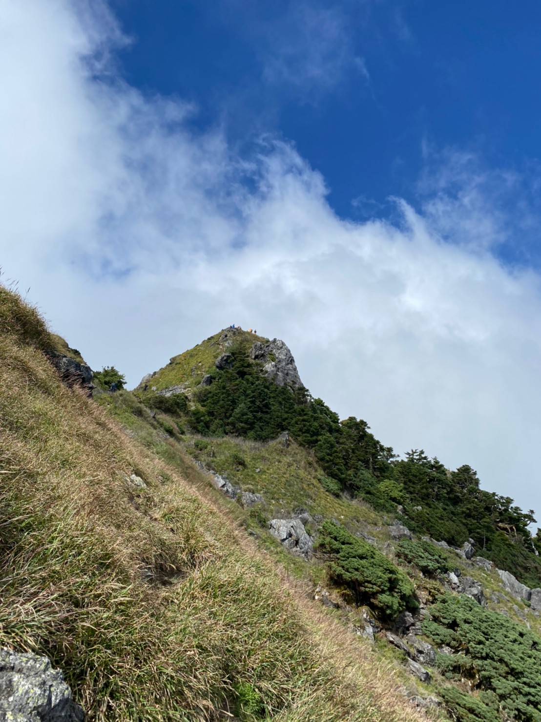 快樂安東軍by david_201007_71